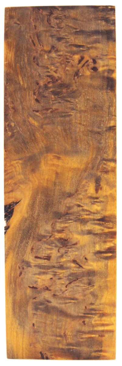 Karelische Maserbirke 103 - Knifematerial.at