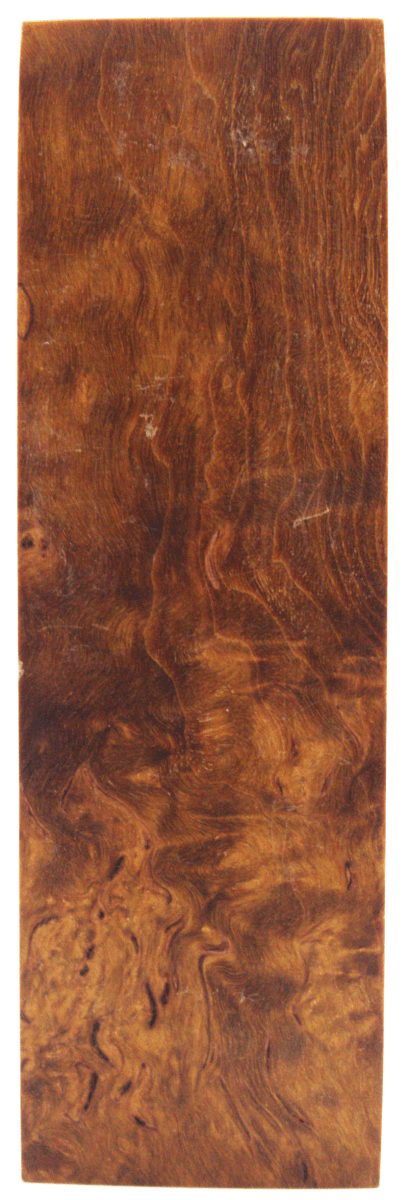 Karelische Maserbirke 105 - Knifematerial.at