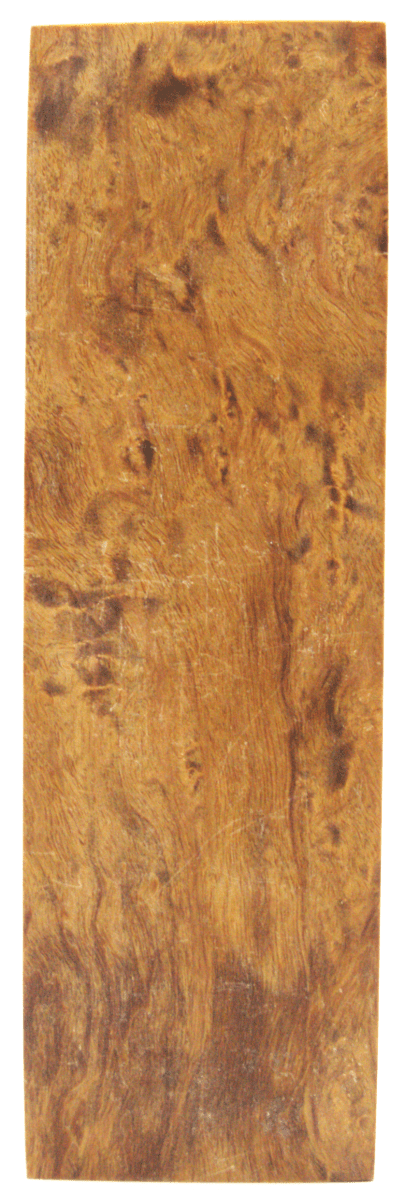 Karelische Maserbirke 107 - Knifematerial.at