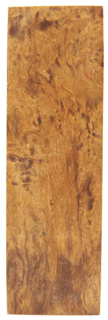 Karelische Maserbirke 107 - Knifematerial.at