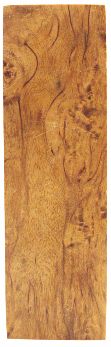 Karelische Maserbirke 107 - Knifematerial.at