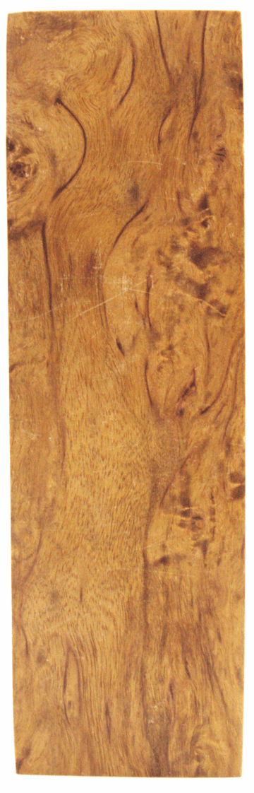 Karelische Maserbirke 107 - Knifematerial.at