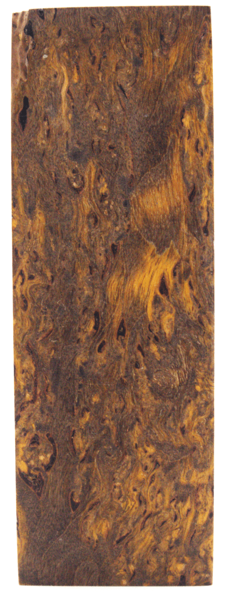 Karelische Maserbirke 113 - Knifematerial.at