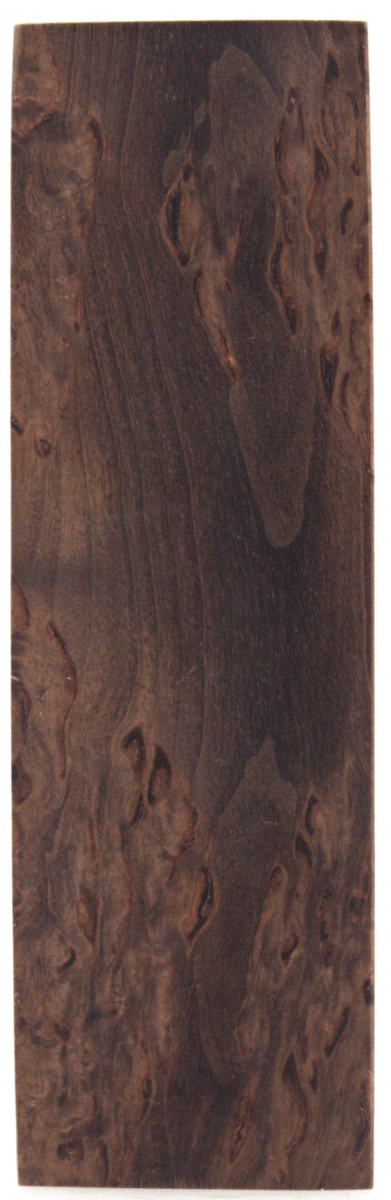 Karelische Maserbirke 126 - Knifematerial.at