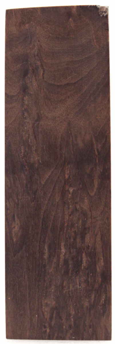 Karelische Maserbirke 127 - Knifematerial.at