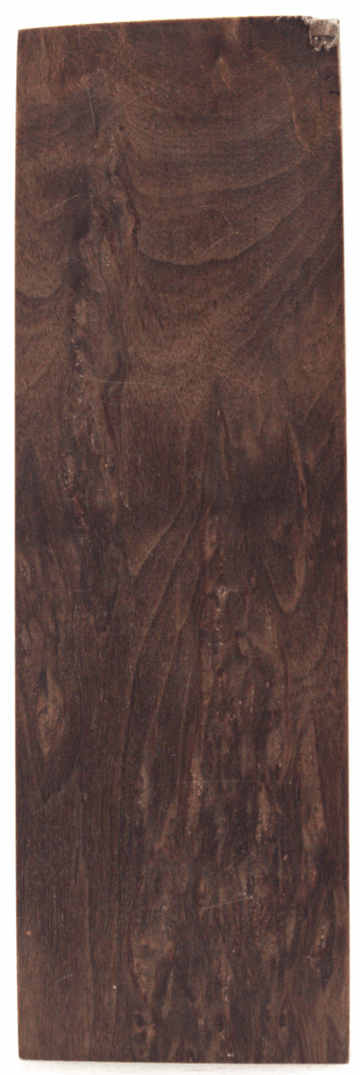 Karelische Maserbirke 127 - Knifematerial.at