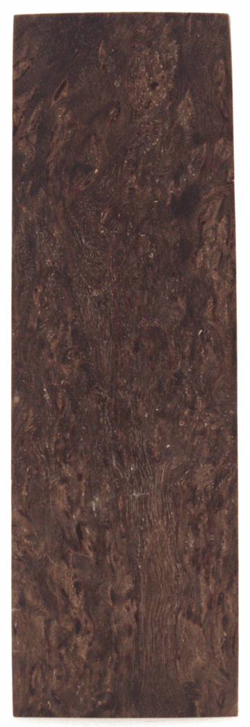 Karelische Maserbirke 127 - Knifematerial.at