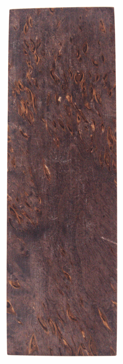 Karelische Maserbirke 141 - Knifematerial.at