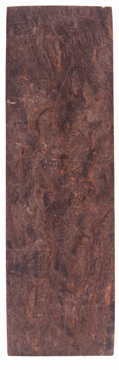 Karelische Maserbirke 167 - Knifematerial.at