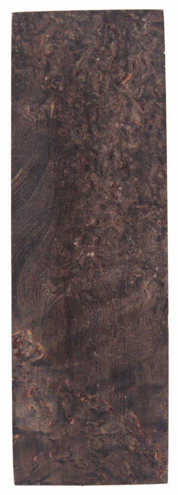 Karelische Maserbirke 168 - Knifematerial.at