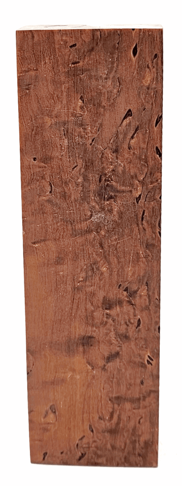 Karelische Maserbirke 172 - Knifematerial.at