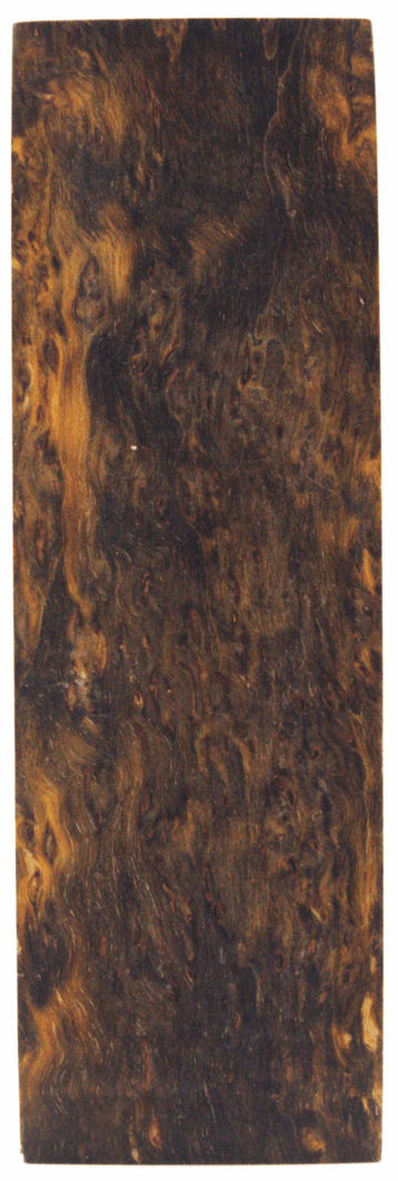 Karelische Maserbirke 177 - Knifematerial.at