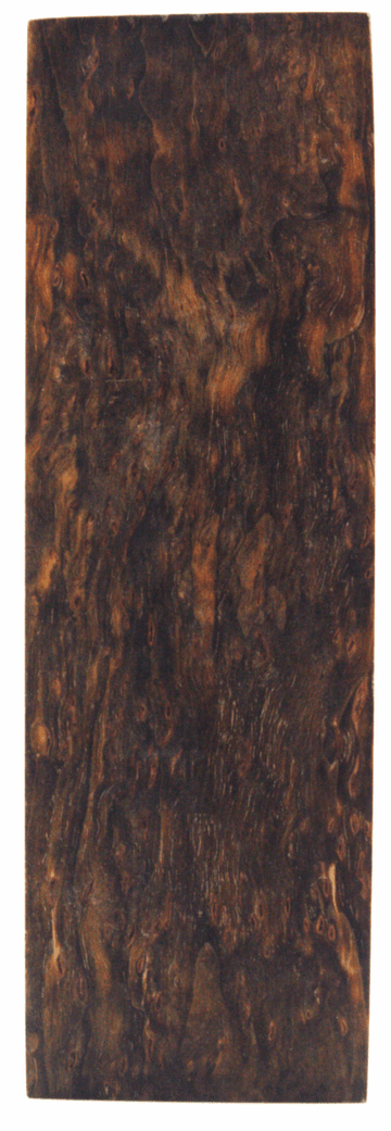 Karelische Maserbirke 177 - Knifematerial.at