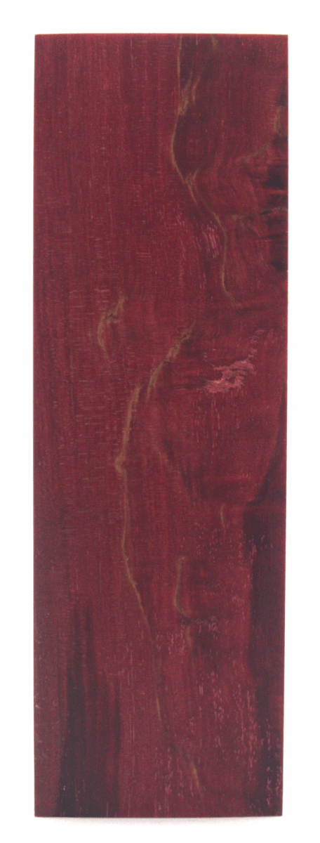 Karelische Maserbirke #186 - Knifematerial.at 