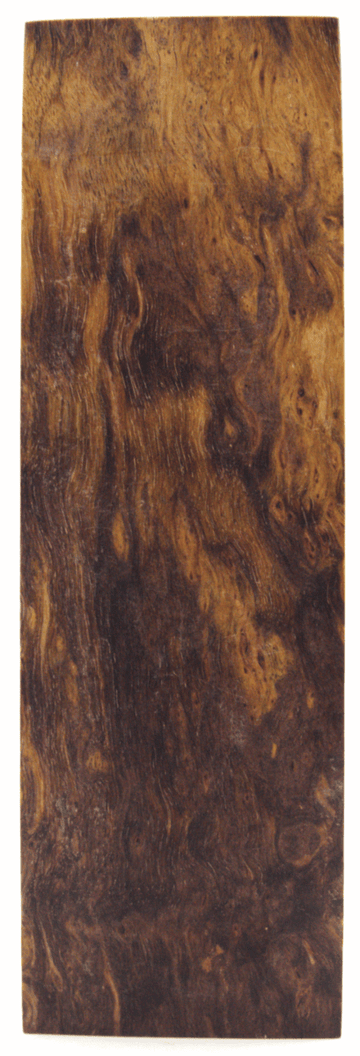 Karelische Maserbirke 319 - Knifematerial.at