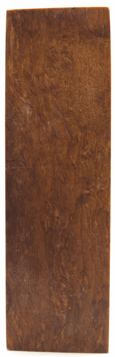 Karelische Maserbirke 327 - Knifematerial.at