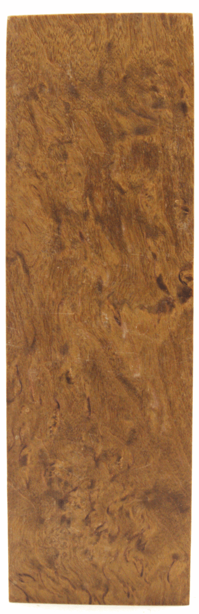 Karelische Maserbirke 330 - Knifematerial.at