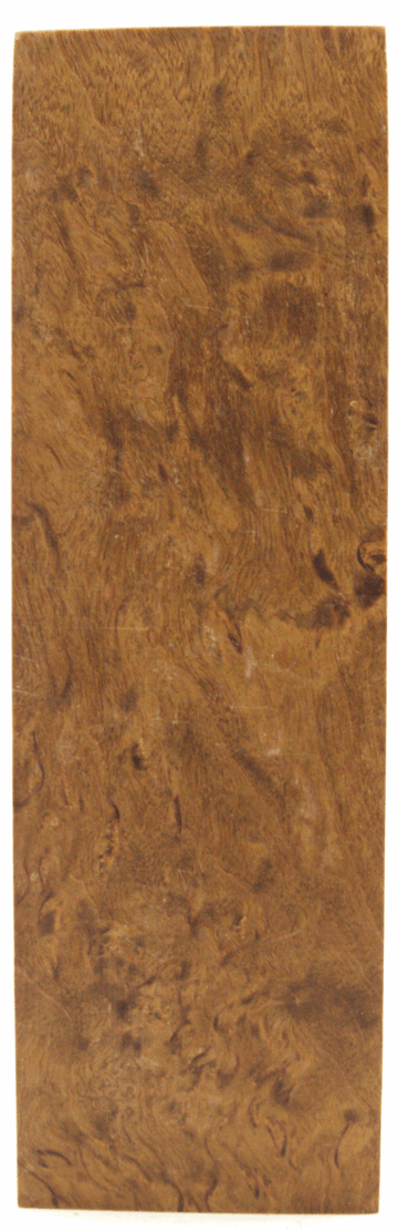 Karelische Maserbirke 330 - Knifematerial.at