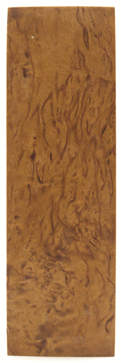 Karelische Maserbirke 334 - Knifematerial.at