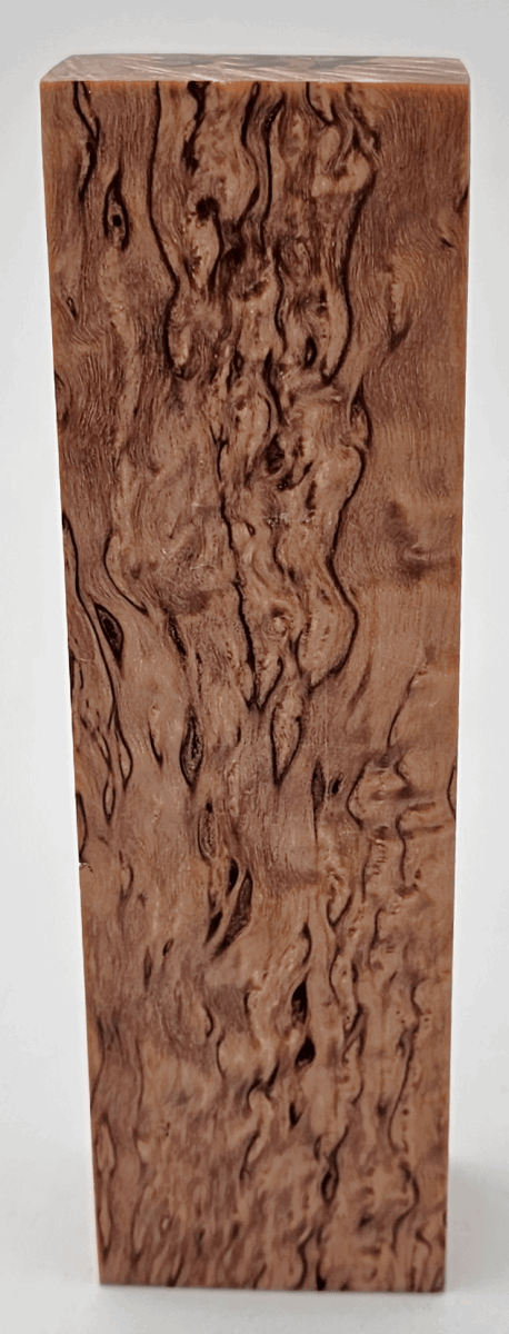 Karelische Maserbirke 337 - Knifematerial.at