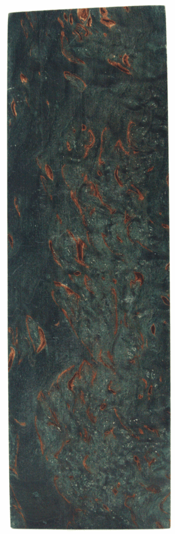 Karelische Maserbirke 357 - Knifematerial.at