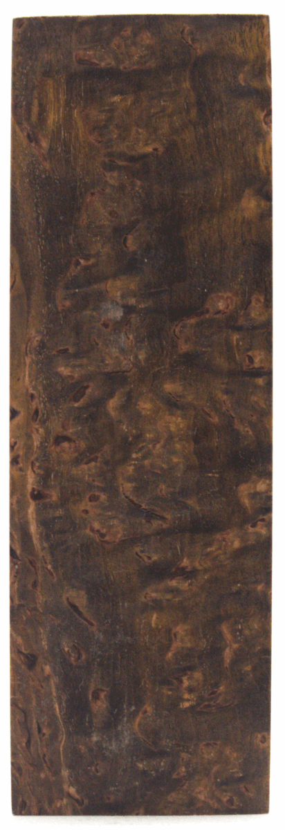 Karelische Maserbirke 52 - Knifematerial.at