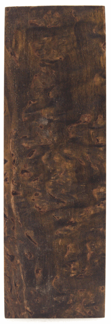 Karelische Maserbirke 52 - Knifematerial.at