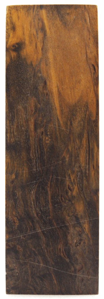 Karelische Maserbirke 62 - Knifematerial.at