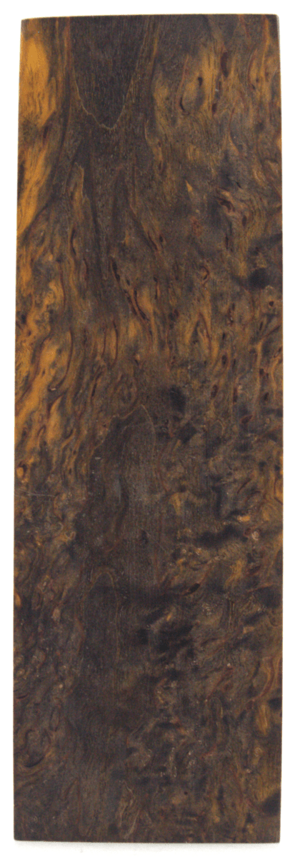 Karelische Maserbirke 62 - Knifematerial.at