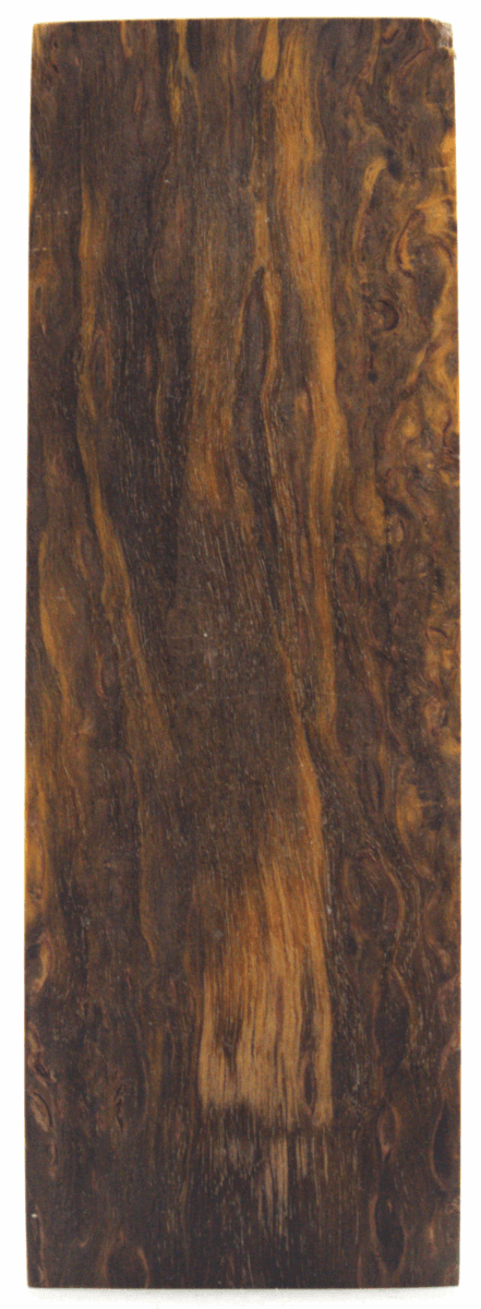 Karelische Maserbirke 63 - Knifematerial.at