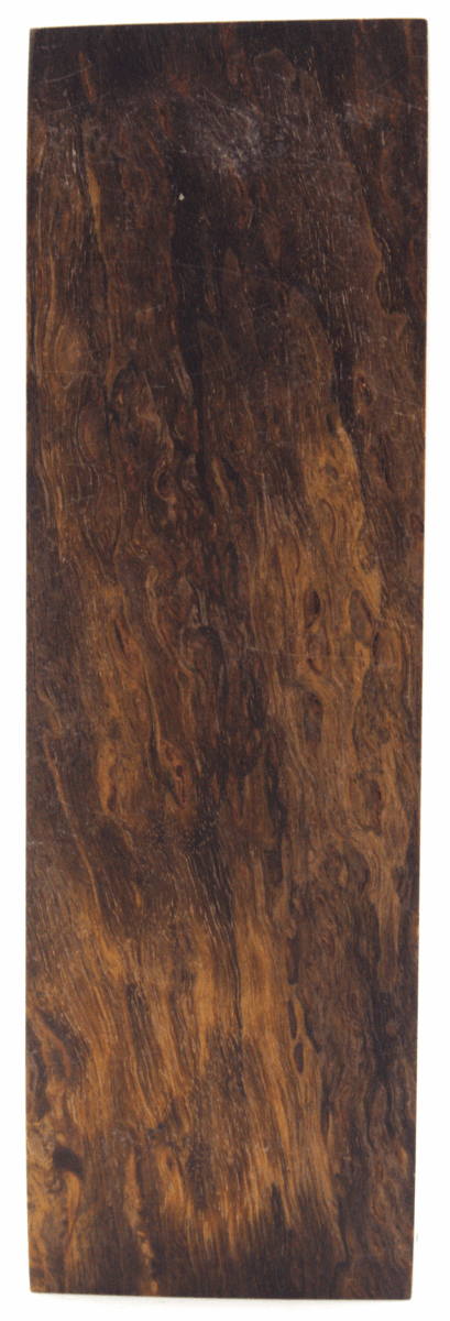 Karelische Maserbirke #65 - Knifematerial.at 