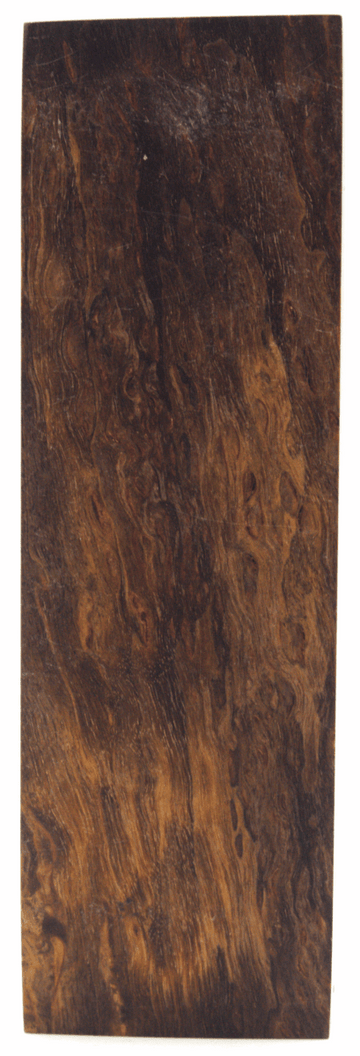 Karelische Maserbirke #65 - Knifematerial.at 