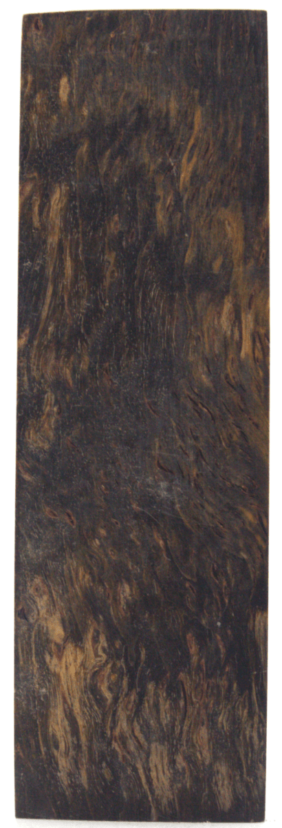 Karelische Maserbirke 71 - Knifematerial.at