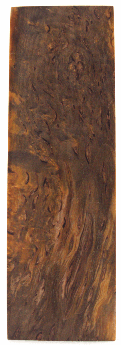 Karelische Maserbirke 73 - Knifematerial.at