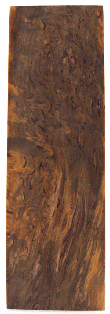 Karelische Maserbirke 73 - Knifematerial.at