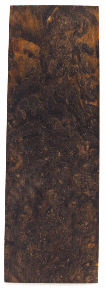 Karelische Maserbirke 74 - Knifematerial.at