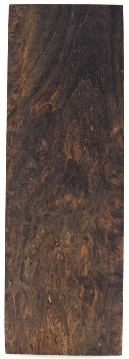 Karelische Maserbirke 74 - Knifematerial.at