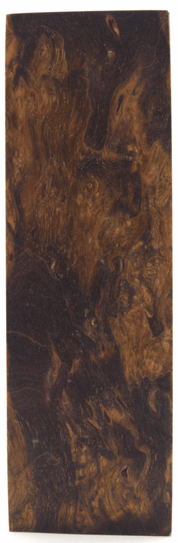 Karelische Maserbirke #88 - Knifematerial.at 