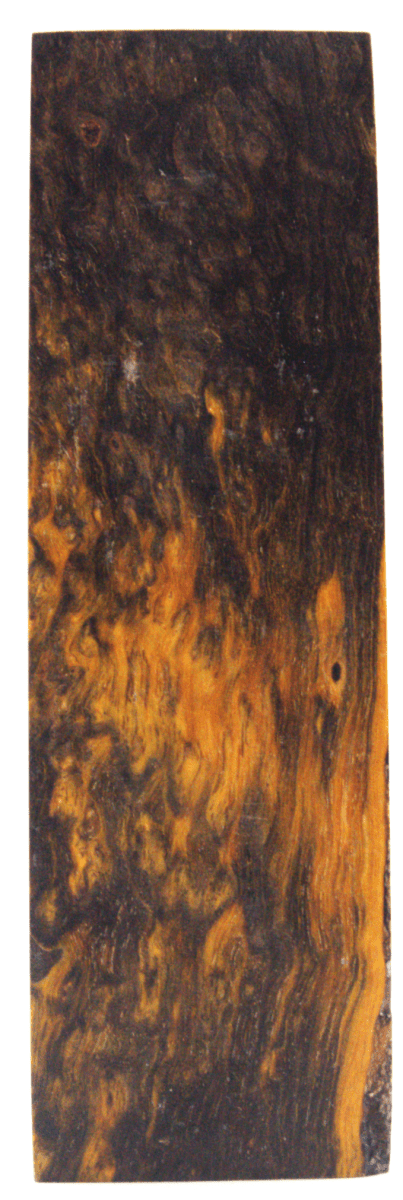 Karelische Maserbirke 96 - Knifematerial.at