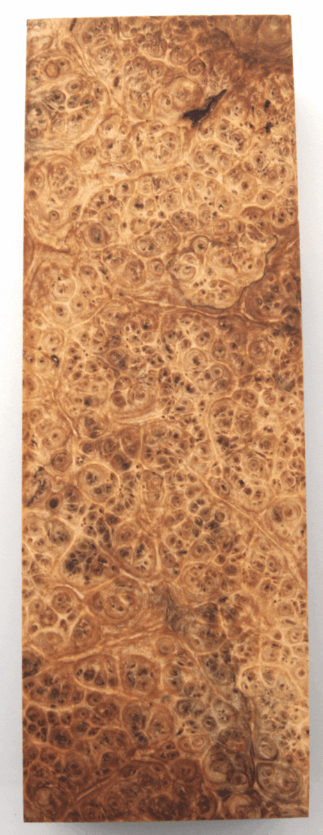 Stabilisierte Amboina 12 - Knifematerial.at