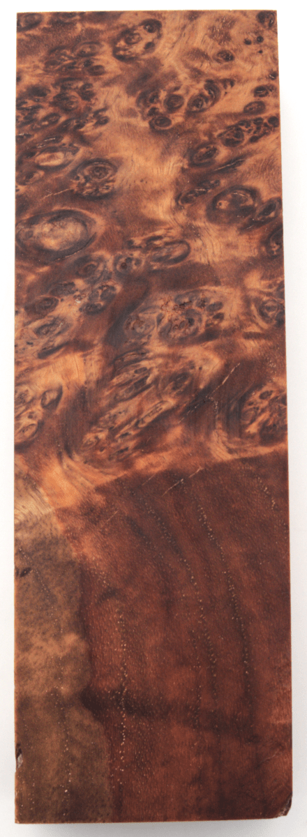 Stabilisierte Amboina 22 - Knifematerial.at