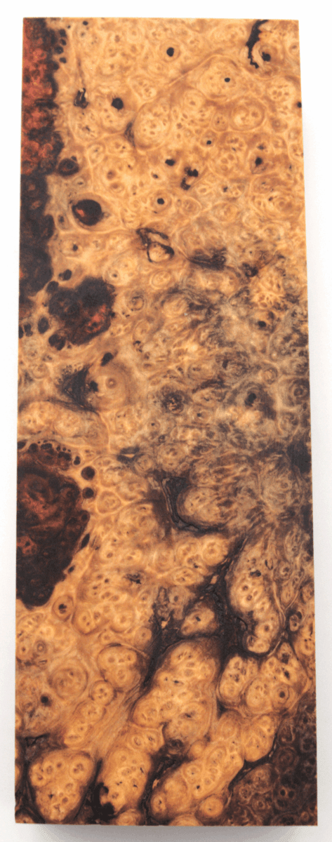 Stabilisierte Amboina 30 - Knifematerial.at