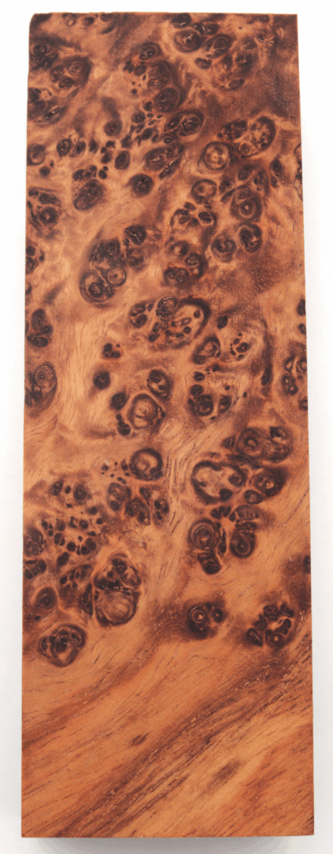 Stabilisierte Amboina 34 - Knifematerial.at