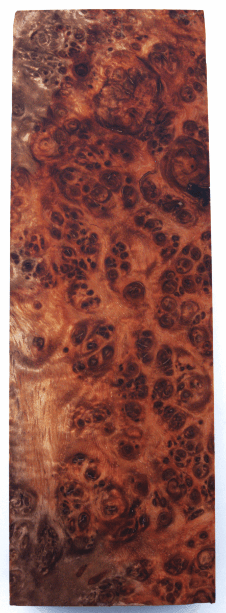 Stabilisierte Amboina 54 - Knifematerial.at