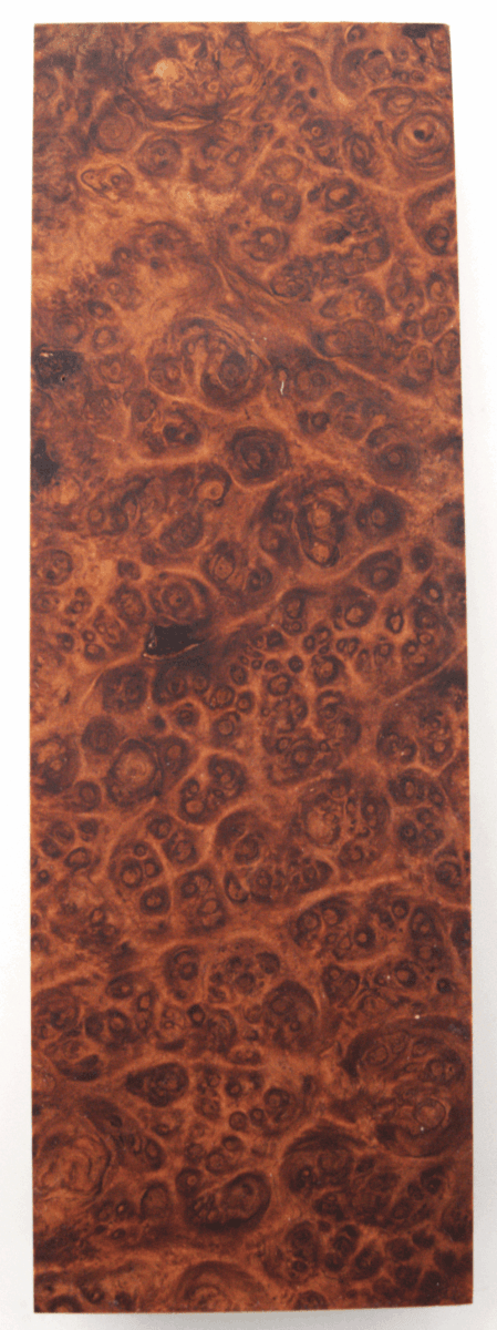 Stabilisierte Amboina 55 - Knifematerial.at