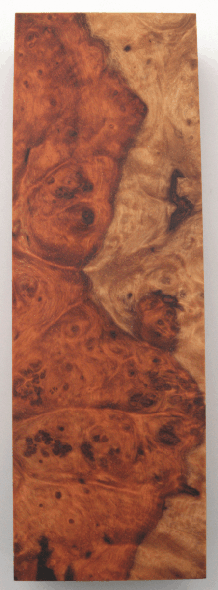 Stabilisierte Amboina 56 - Knifematerial.at