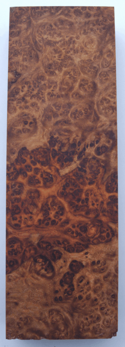 Stabilisierte Amboina 59 - Knifematerial.at