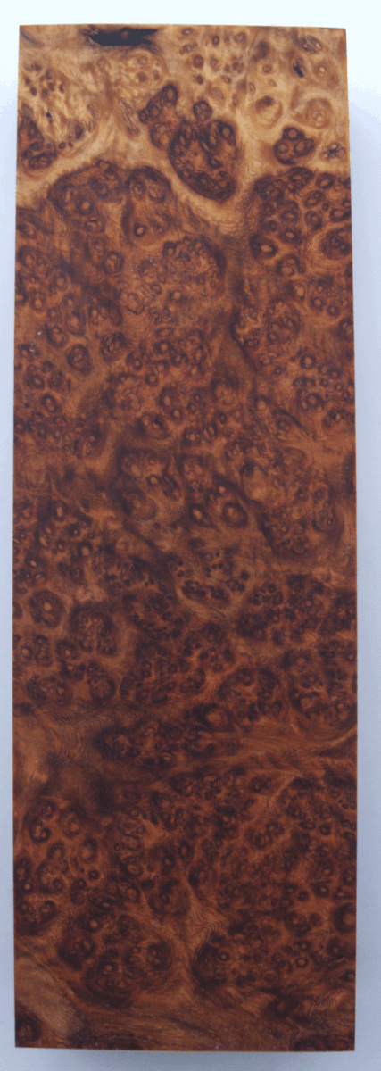 Stabilisierte Amboina 59 - Knifematerial.at