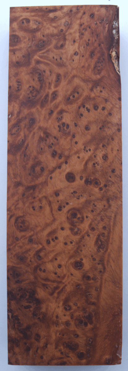 Stabilisierte Amboina 61 - Knifematerial.at