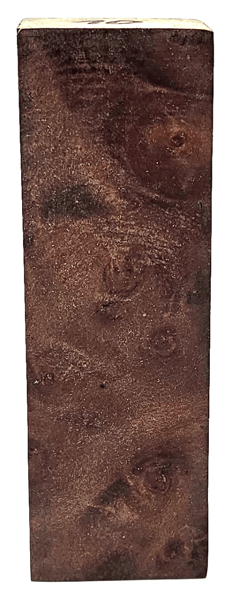 Stabilisierte Feuerlandkirsche 10 - Knifematerial.at